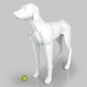 Dog Mannequin Edward - Matt White